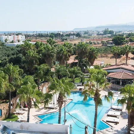 Oasis *