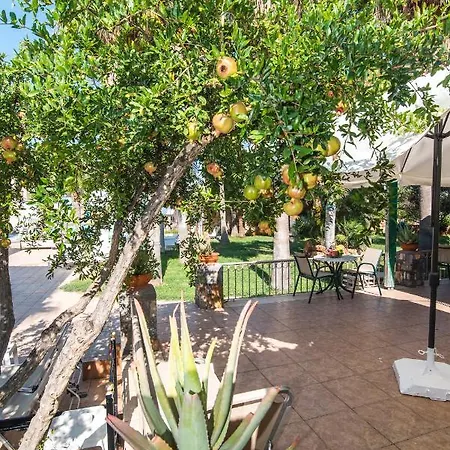 Hotell Oasis *